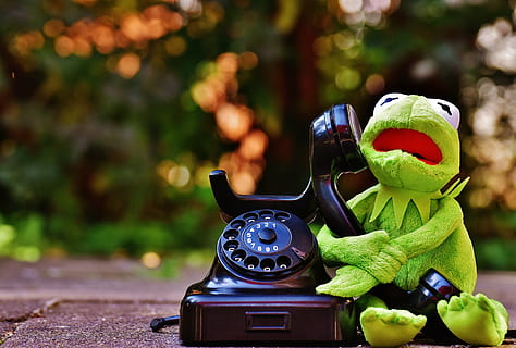 green frog plush toy holding rotary telephone, kermit, figure HD wallpaper