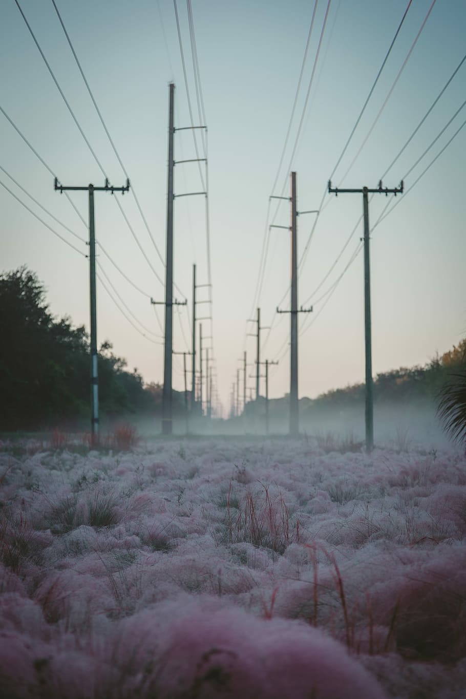 black electric posts inline at daytime, black utility post lot HD wallpaper
