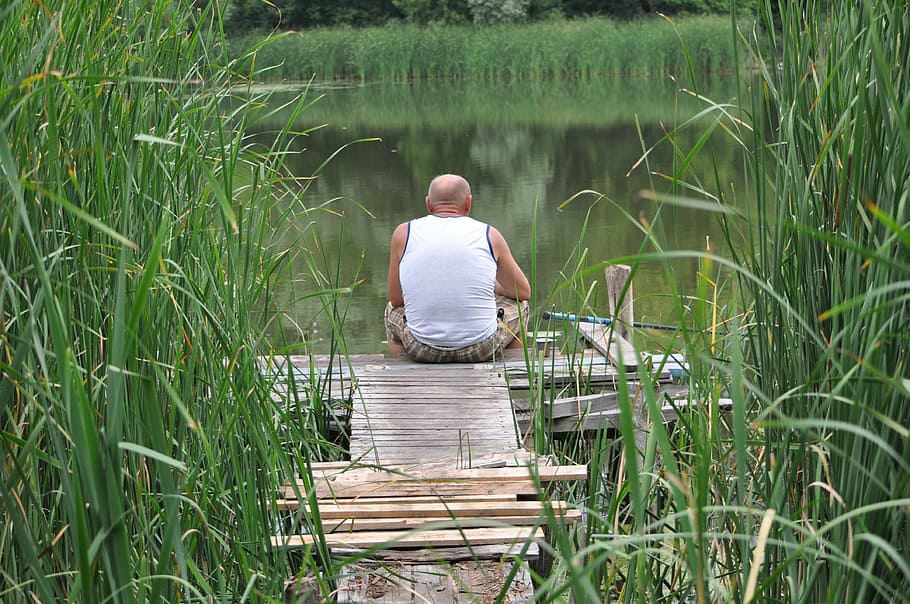 fishing, lake, village, water, nature, man, male, fisherman, HD wallpaper