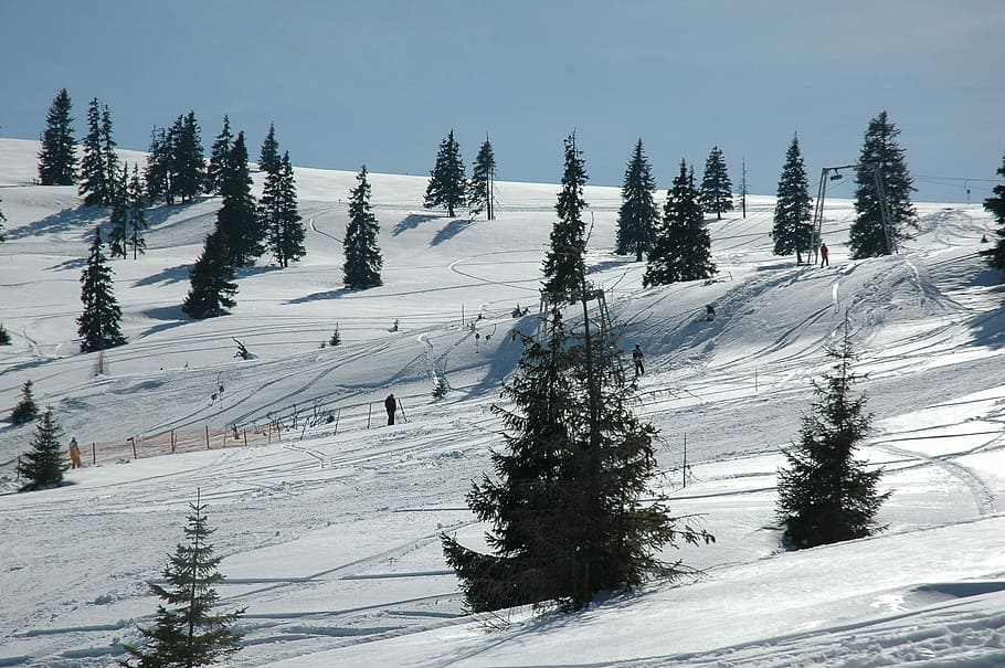 Skiing, Mountain, Snow, Winter, Nature, landscape, sky, cold HD wallpaper