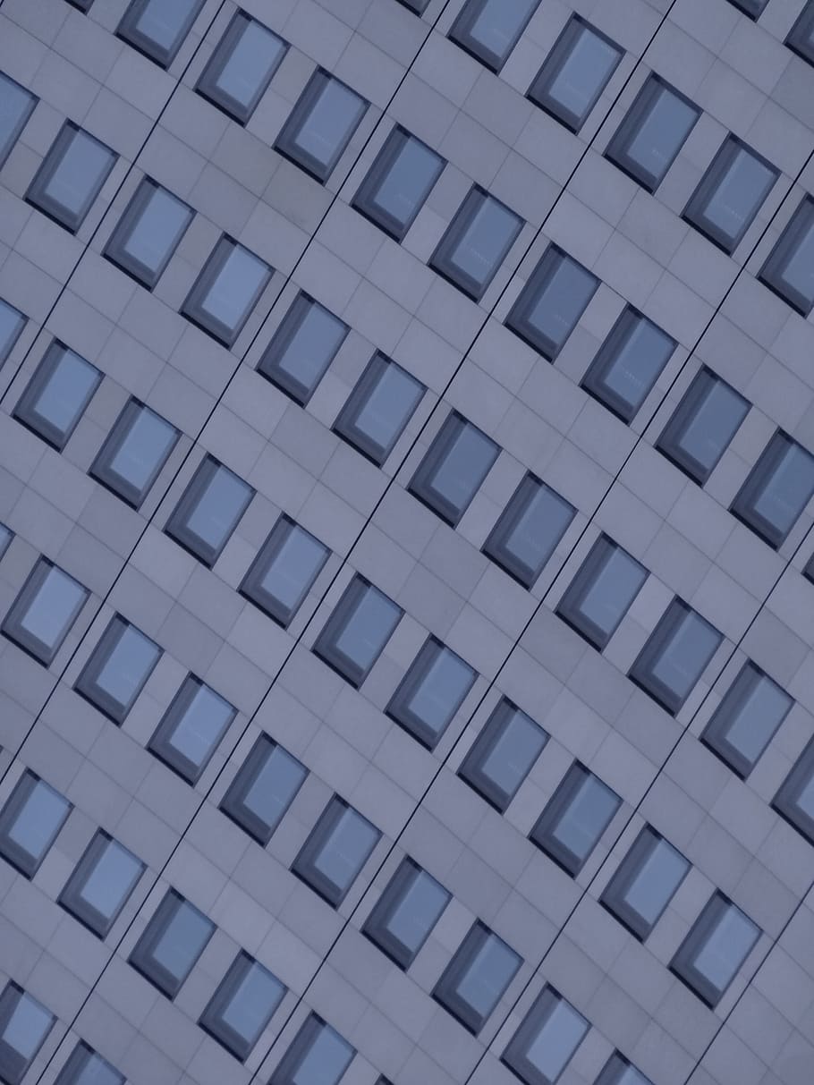 window, home, building, facade, wall, skyscraper, city, architecture HD wallpaper
