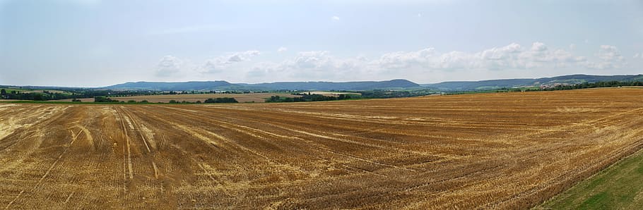 Panorama, Cornfield, Harvested, Vision, rural, hill, landscape, HD wallpaper
