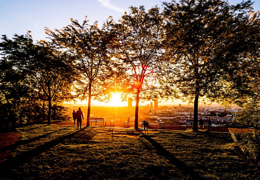 silhouette of a man and woman at the garden, silhouette photography of people in a park standing near trees with view of city below during golden hour HD wallpaper