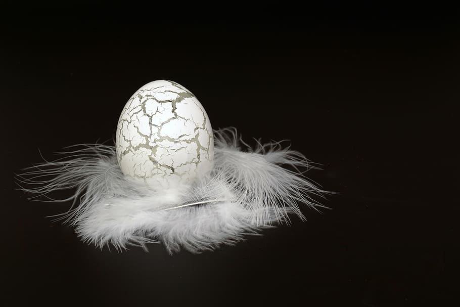 gray and black egg decor with white feather, easter egg, glass HD wallpaper