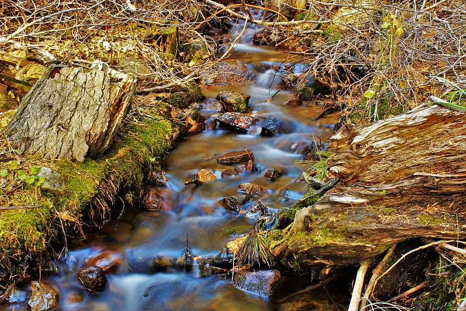 Water Stream on Creeks, close -up, environment, flow, landscape HD wallpaper