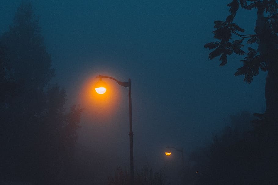 lamp posts, lights, night, dark, evening, illuminated, street light HD wallpaper
