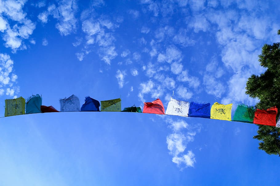assorted-color textiles hanging on string during daytime, low angle photography buntings under blue sky