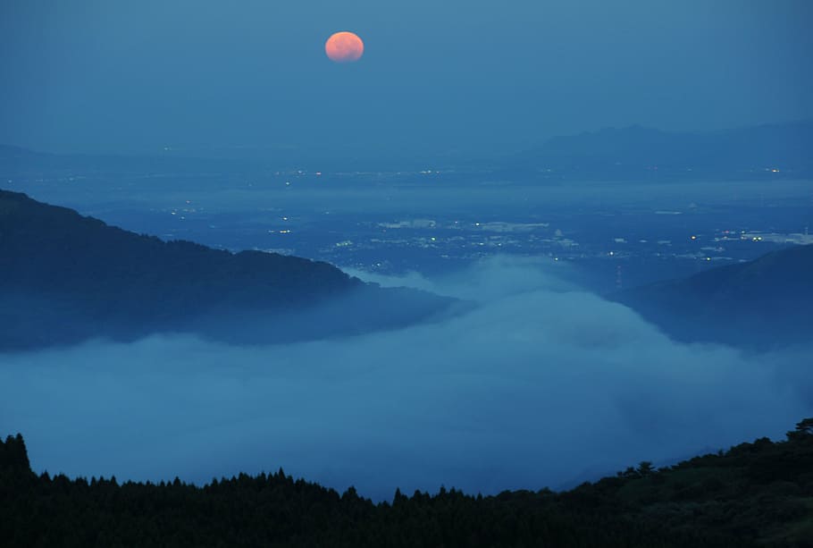 trees near foggy area under clear night sky, aso, night view HD wallpaper