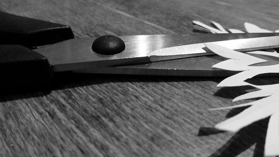 scissors, cut, paper, tool, sharp, metal, craft scissors, black white HD wallpaper