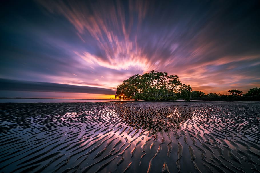 low light photo of trees near body of water, landscape, reflection HD wallpaper