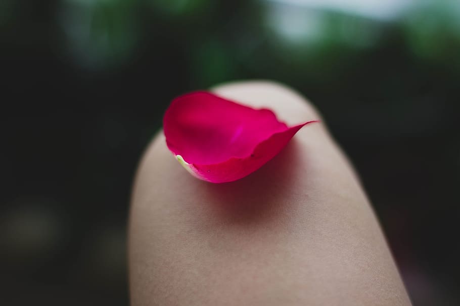 nature, red, blur, colors, bright, close-up, finger, outdoors HD wallpaper