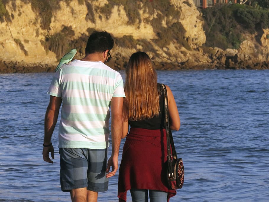 couple, walk, beach, walking, man, woman, together, love, young HD wallpaper