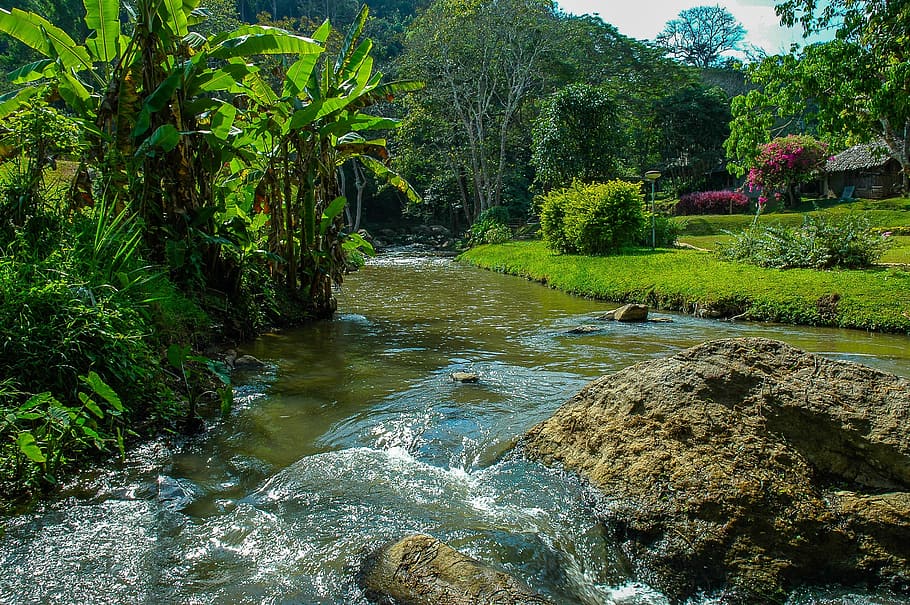 River, Landscape, Park, Trees, river landscape, nature, water HD wallpaper