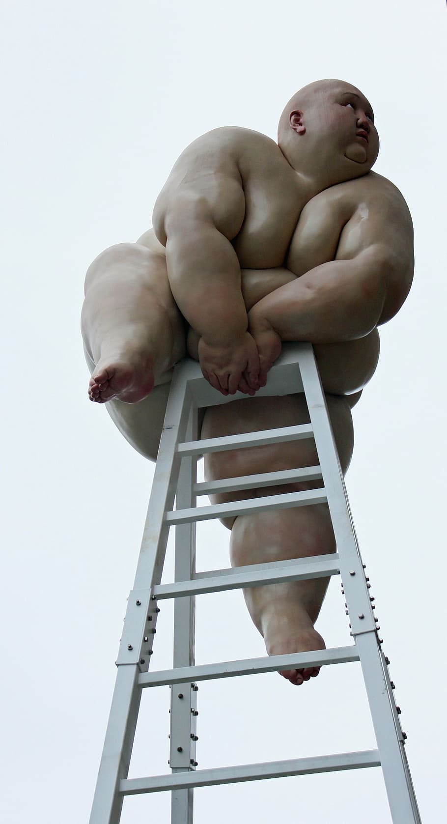 artwork, exhibition, human, thick, sumoringer, shirtless, full length HD wallpaper