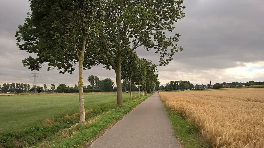 summer, thunderstorm, forward, clouds, road, sky, clouds form HD wallpaper