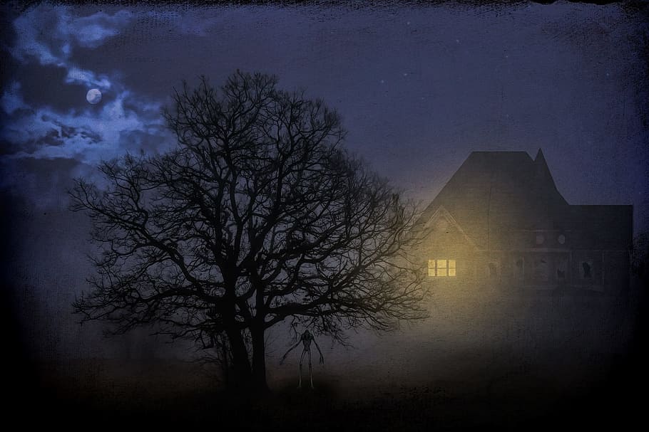 leafless tree during nighttime, gloomy, dark, mystical, moon