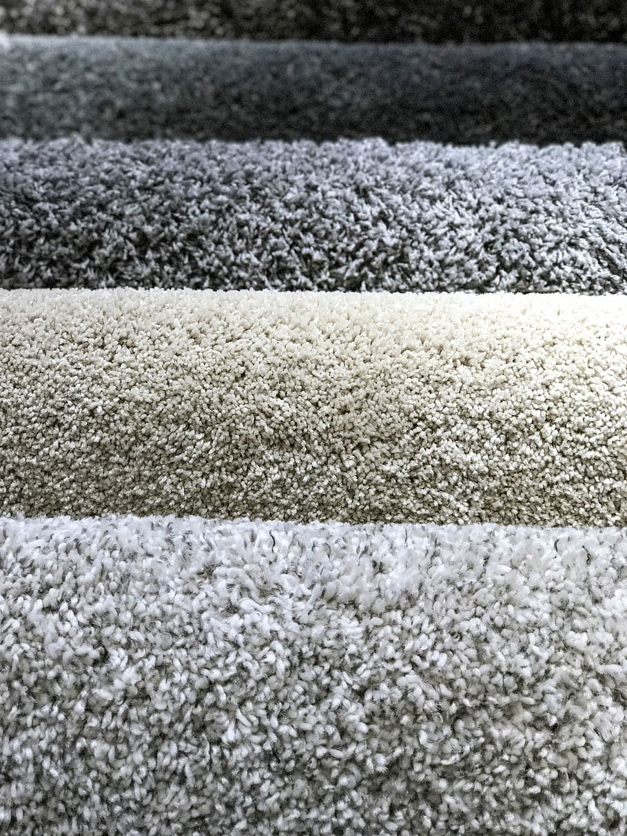 Carpets, Interior, Home, Design, home interior, house, room HD wallpaper