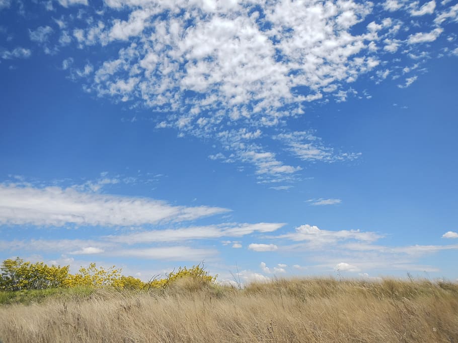 sky, clouds, field, blue, sun, landscape, mountains, rays, palmas HD wallpaper