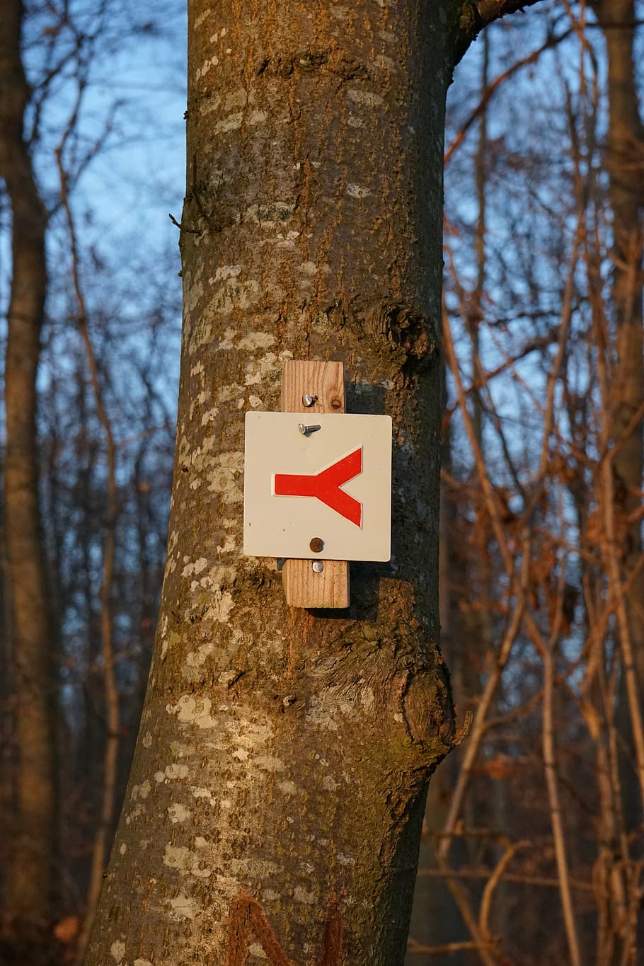 signpost, migratory character, waymarks, signposts, directory HD wallpaper