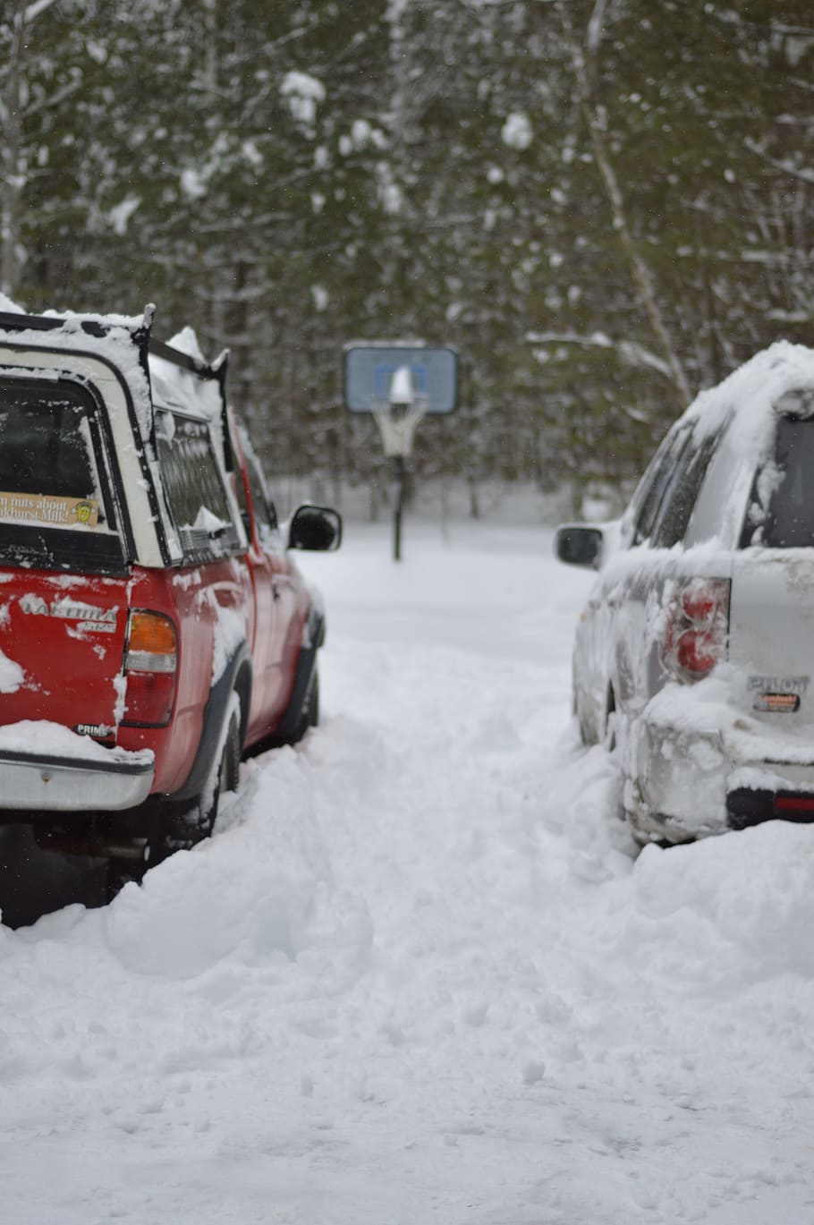 winter, snow, pickup, mode of transportation, car, motor vehicle HD wallpaper