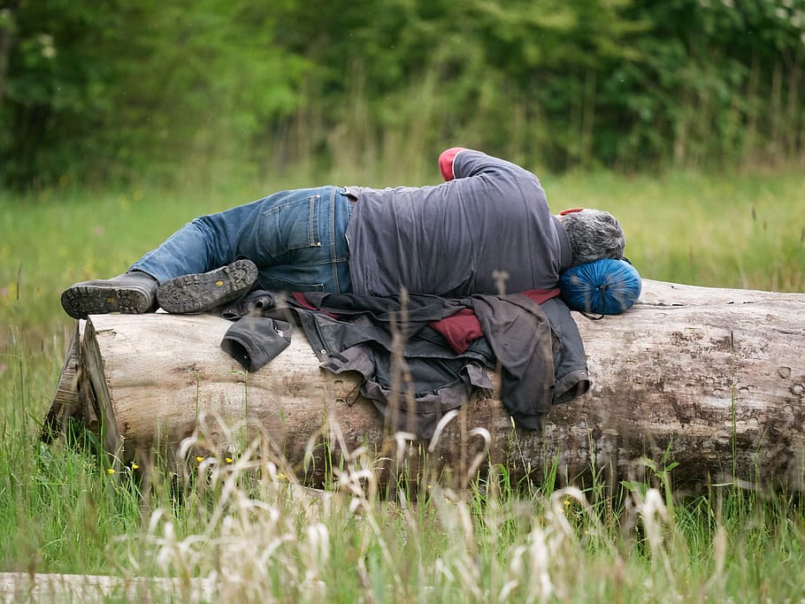 Tired, Workers, Sleep, Break, Log, nature, man, lacking in motivation HD wallpaper