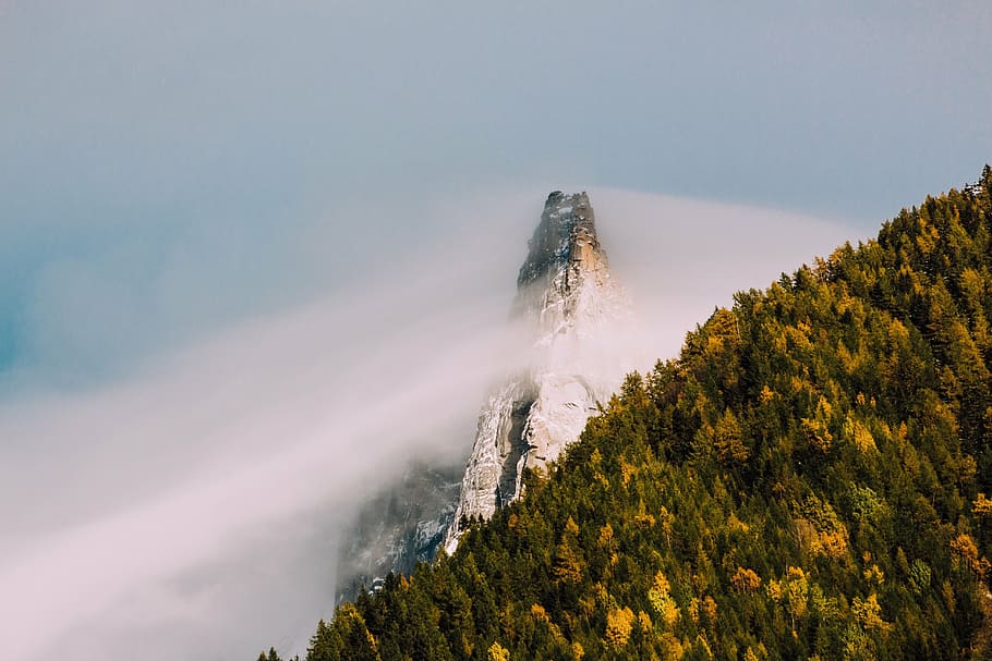 peak, cloud, fog, hillside, forest, high, steep, vertical, view HD wallpaper