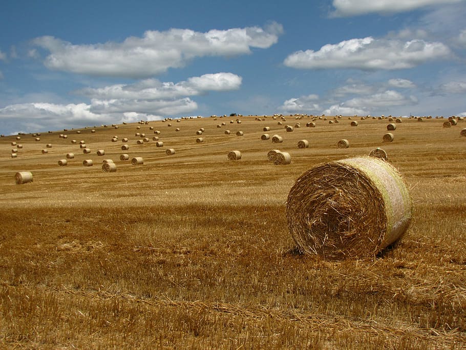 straw, bale, meadow, straw bale, region, landscape, field, harvest HD wallpaper