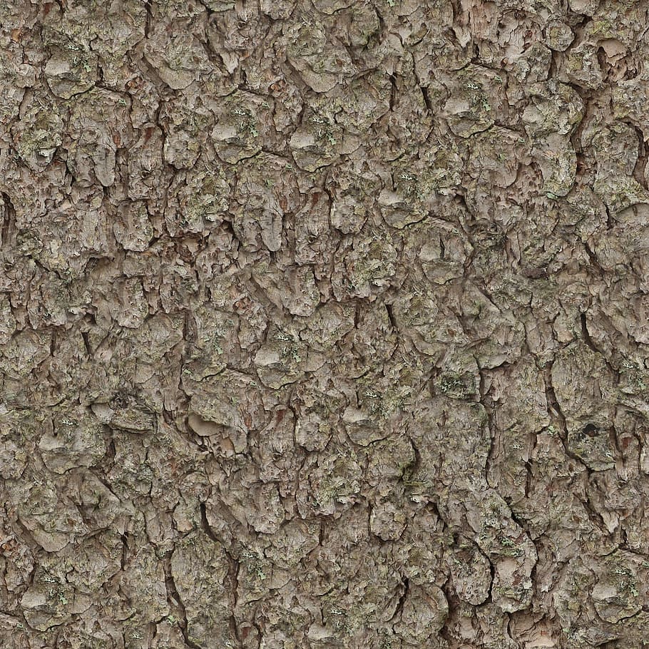 untitled, texture, seamless, tileable, pine, bark, nature, tree, HD wallpaper