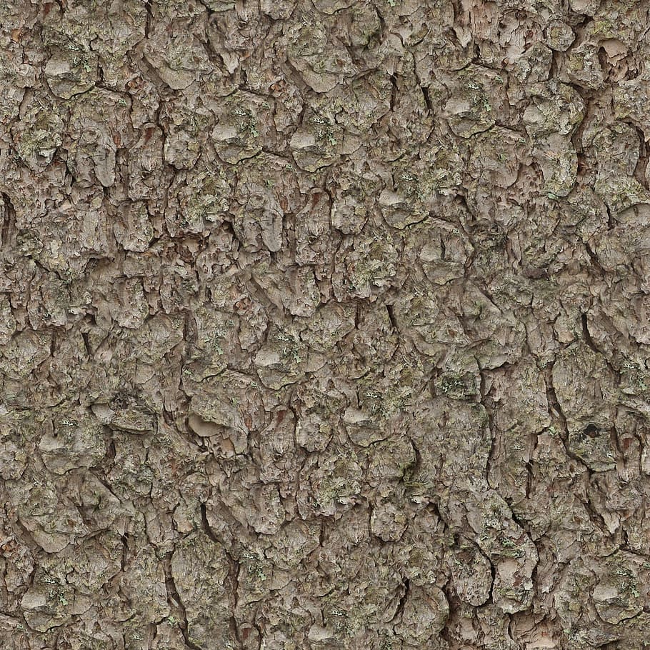 untitled, texture, seamless, tileable, pine, bark, nature, tree HD wallpaper