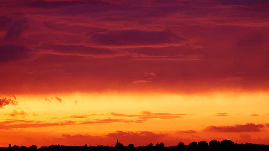 Silhouette of Trees Under Orange and Red Sky, backlit, bright HD wallpaper