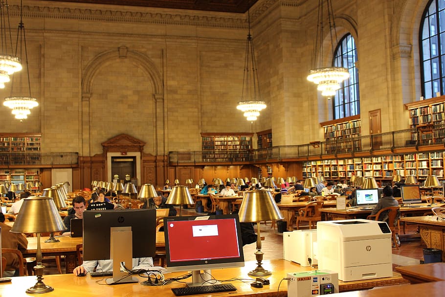 library, studies, education, knowledge, literature, read, school HD wallpaper