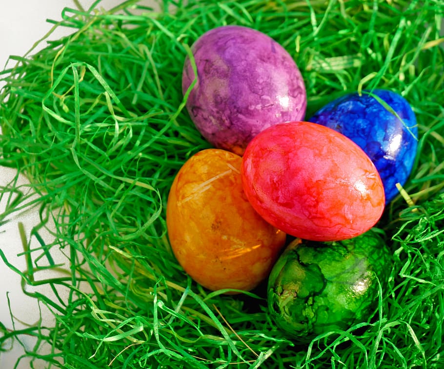 Easter eggs on top of green nest, easter nest, grass, deco HD wallpaper