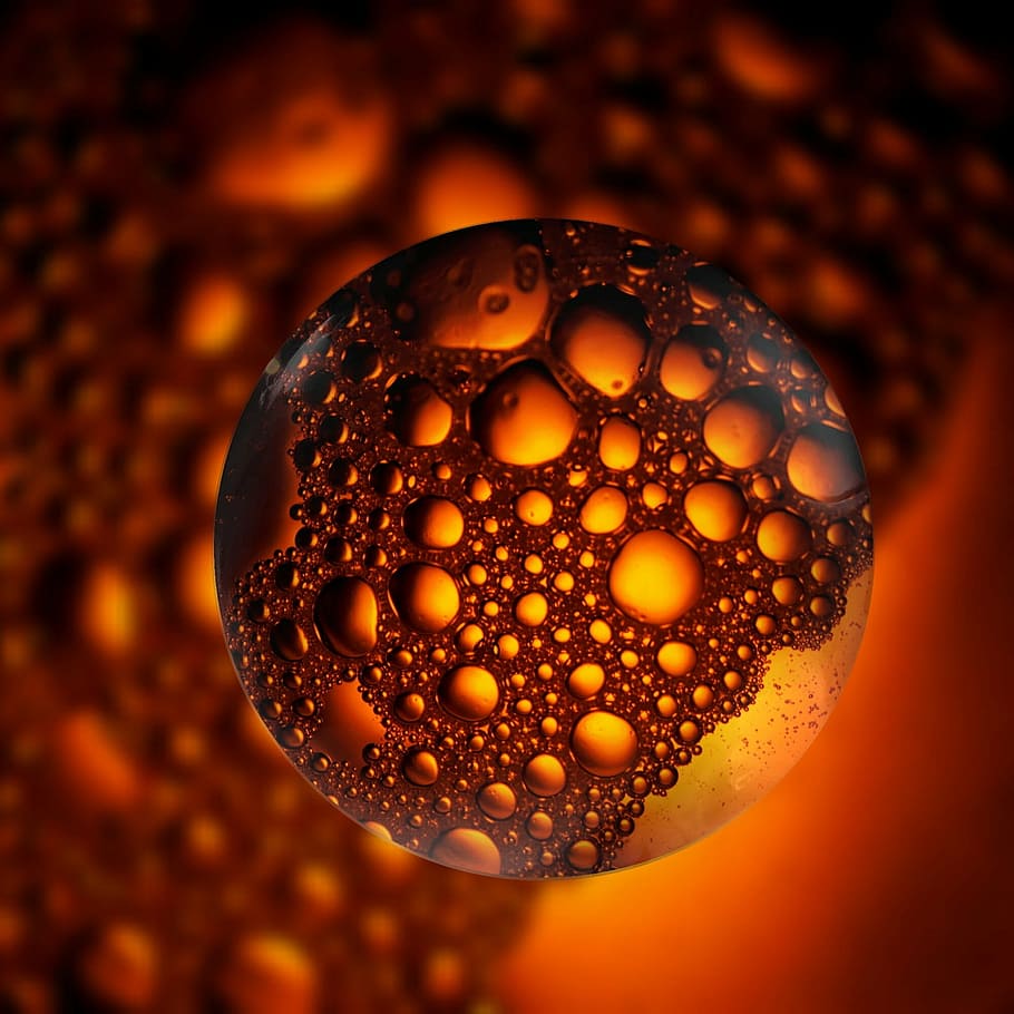 orange microscopic organism graphic, ball, liquid, bubble, blow HD wallpaper