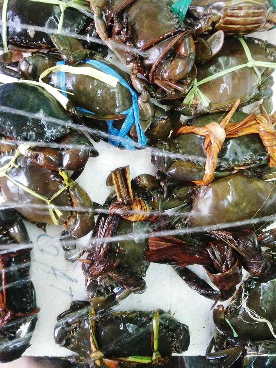 nature, crab, seafood, animal, food and drink, vertebrate, indoors HD wallpaper