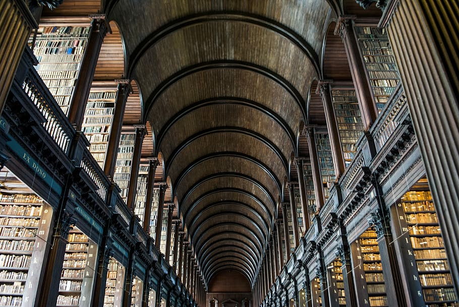 Knowing keeps us going, library, ceiling, architecture, wood HD wallpaper