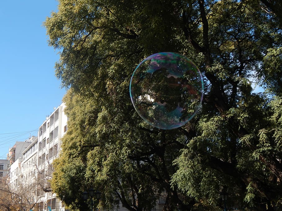 Soap Bubble, Bubble, Bubble, Colors, tree, reflection, one man only HD wallpaper