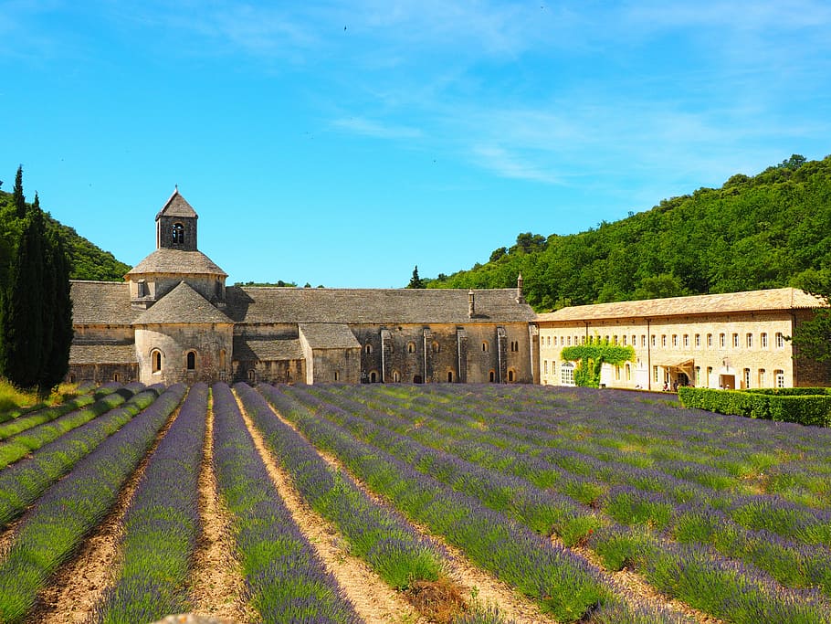 abbaye de sénanque, monastery, abbey, notre dame de sénanque, HD wallpaper