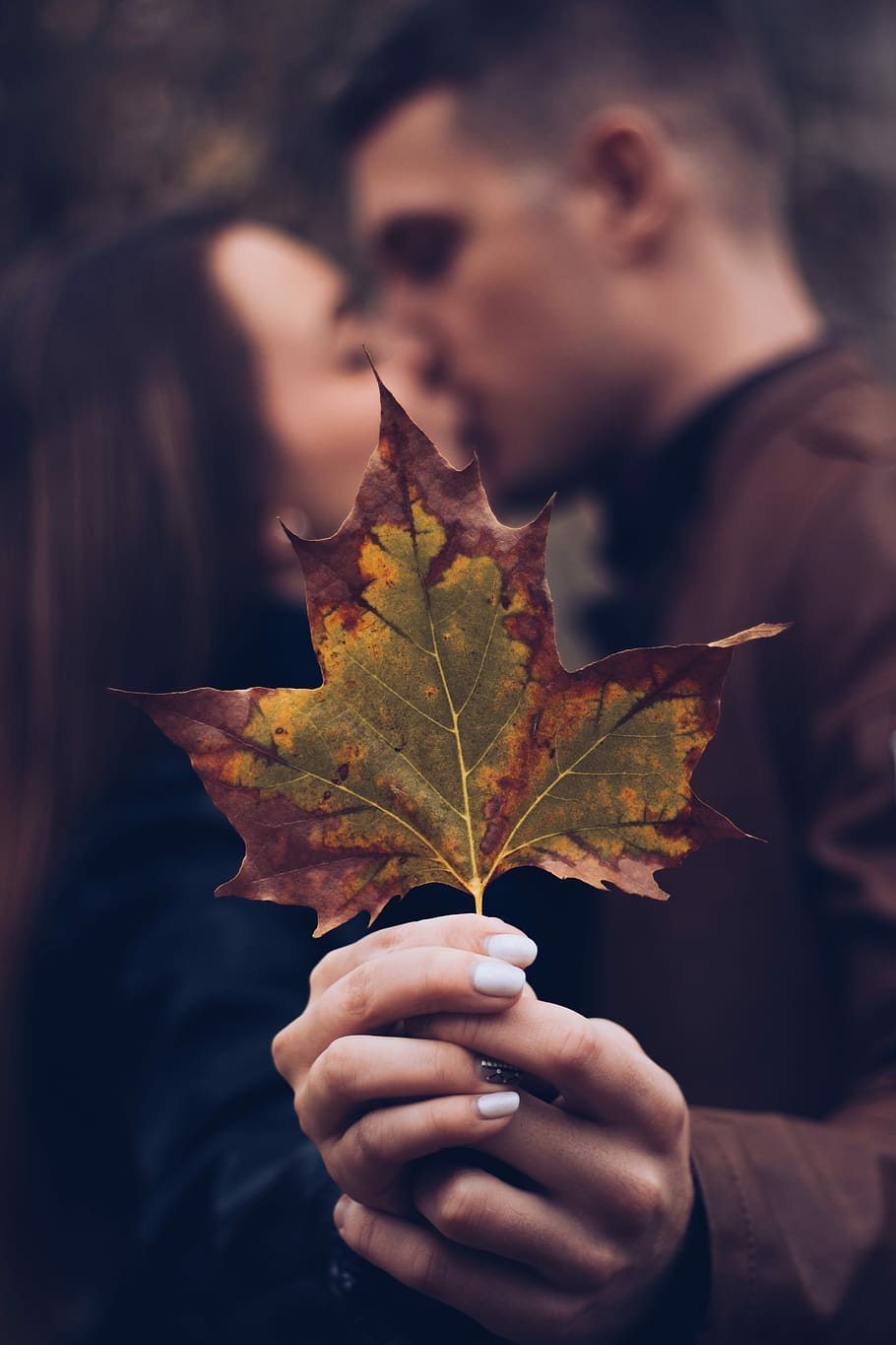 man and woman holding leaf while kissing, man and woman kissing each other while holding leaf HD wallpaper
