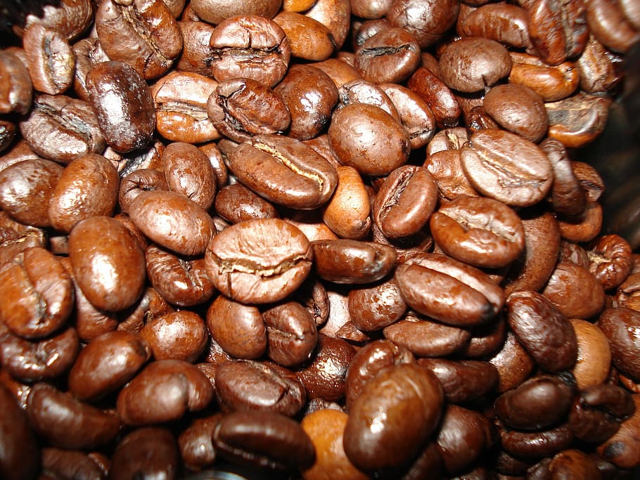 coffee, beverages, coffee beans, brown, roasted, food and drink HD wallpaper