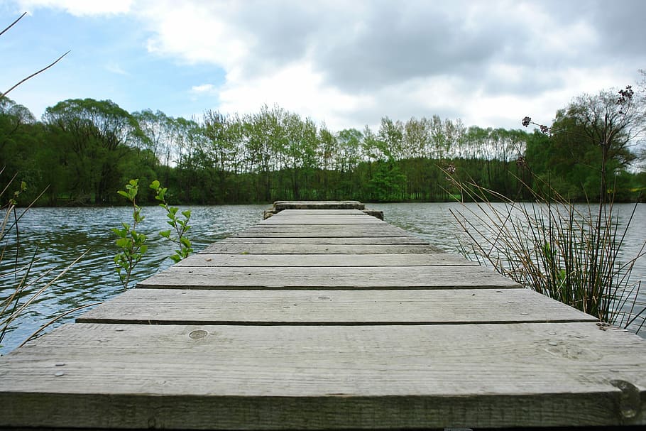 Nature, Water, Spring, Web, Green, Sky, trees, pond, lake, cloud - sky HD wallpaper
