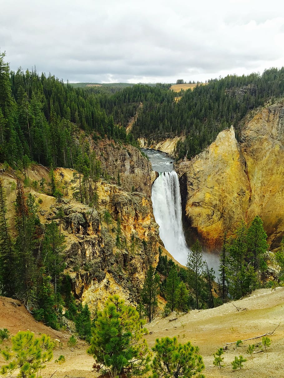 yellowstone, canyon, waterfall, nature, landscape, scenics HD wallpaper