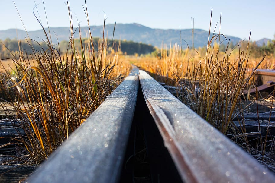 Track, Train, Railway, Junction, railway rails, soft, landscape HD wallpaper