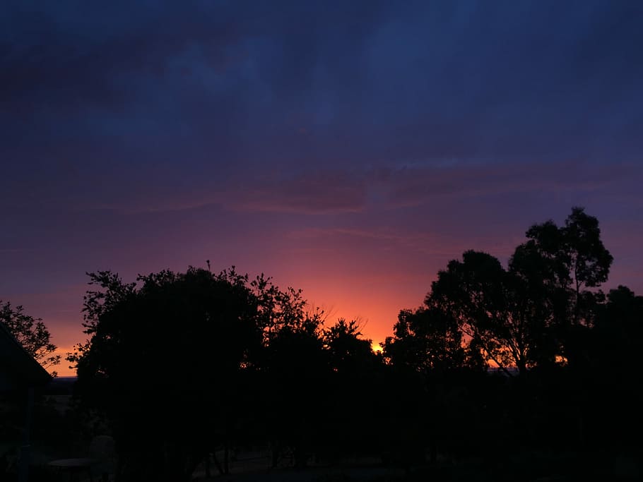 Sunset, Dusk, Tree, Nature, Landscape, night, silhouette, evening HD wallpaper