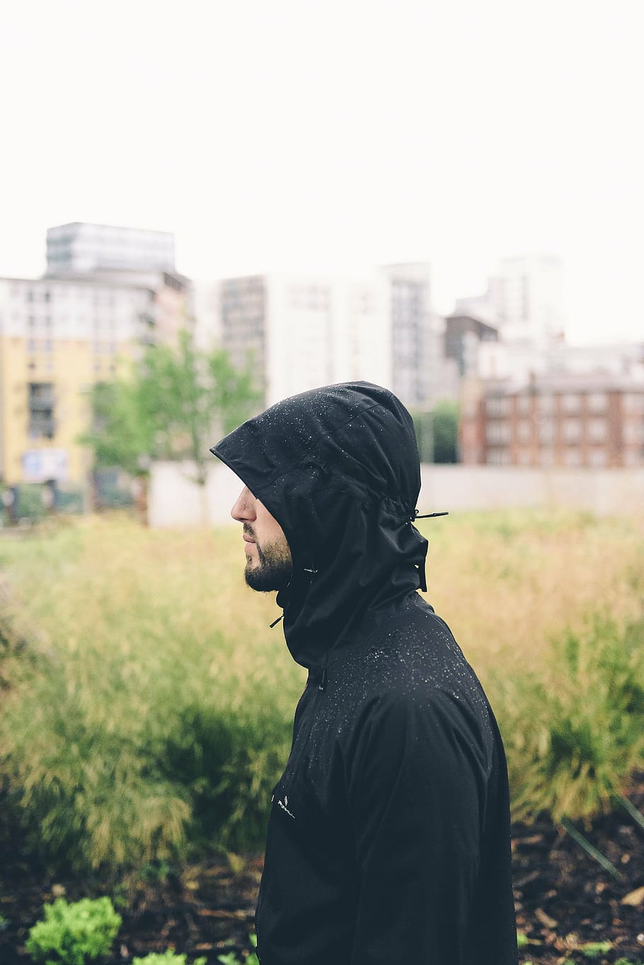 hoodie, jacket, macro, man, model, one person, real people HD wallpaper