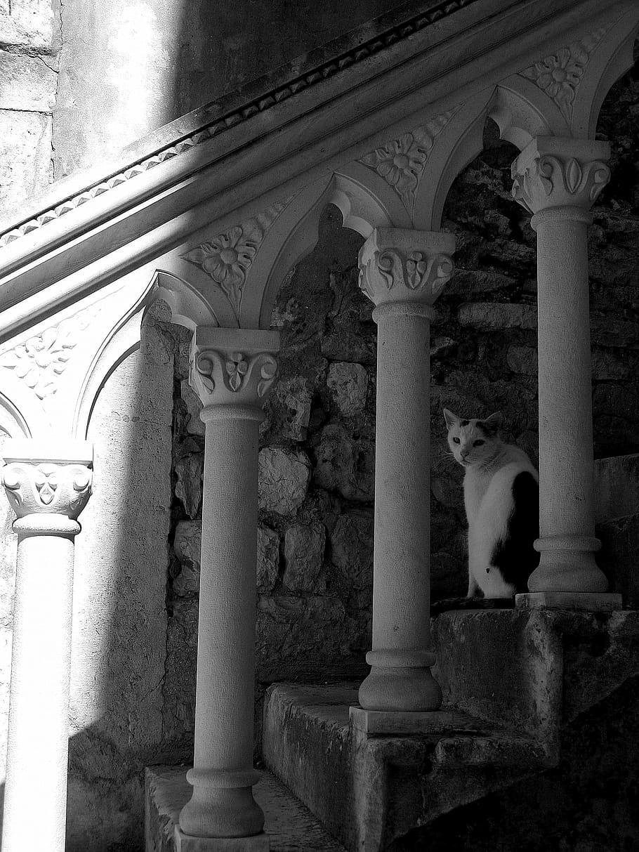 staircase, cat, shadow, architecture, stone fence, architectural column HD wallpaper