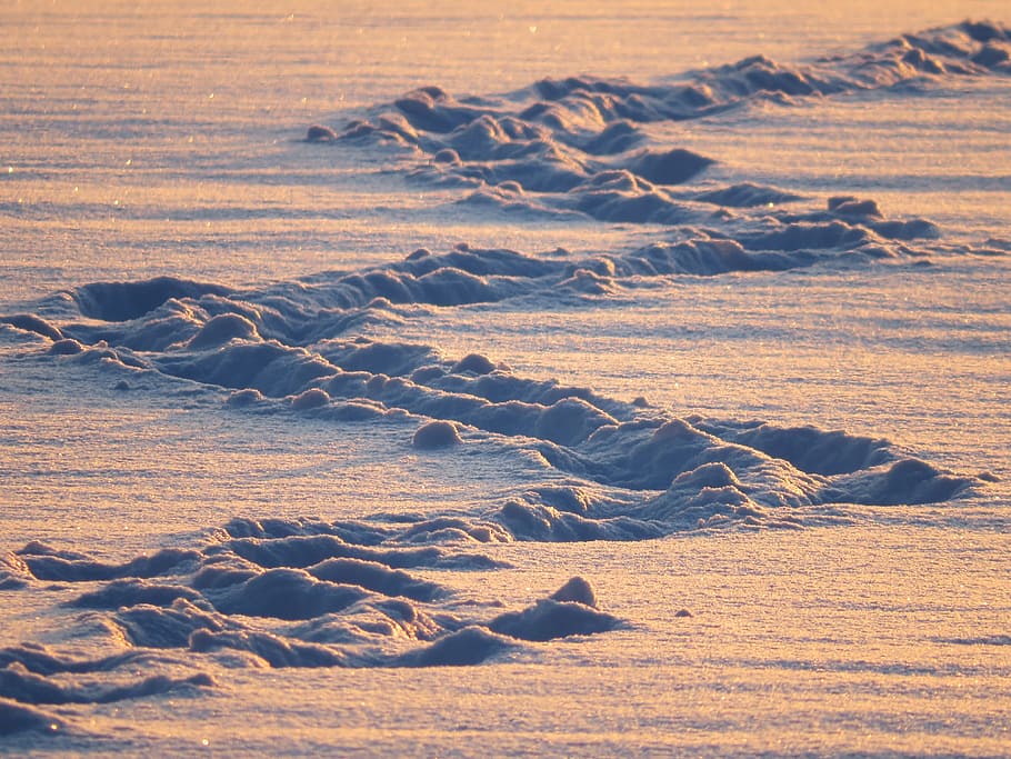 Tracks in Sand, nature, snow, trail, winter, beauty in nature HD wallpaper