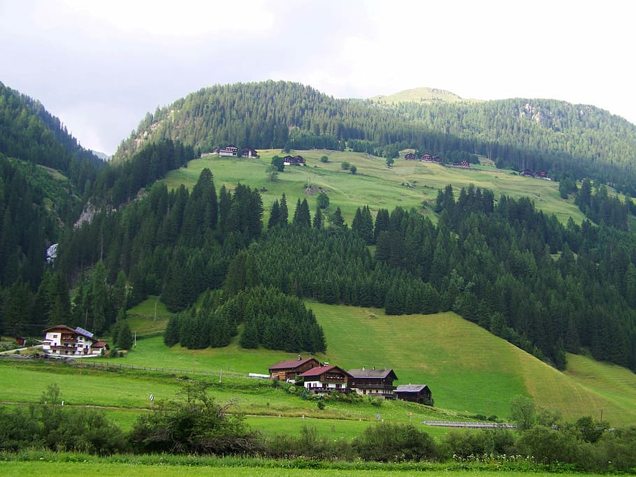 alpine village, alpine scenery, alps, plant, tree, green color HD wallpaper