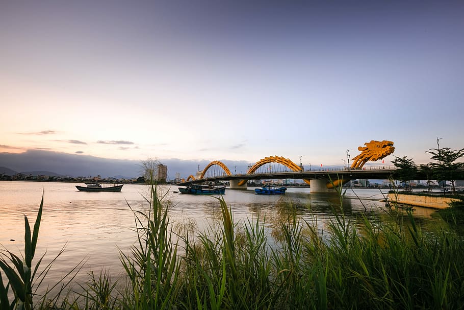 HD wallpaper: orange dragon bridge over body of water, vietnam, danang, the city | Wallpaper Flare