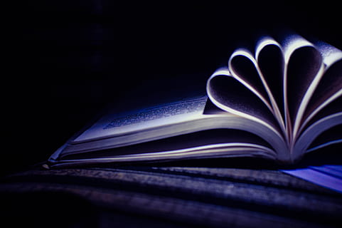 homework, time management, purpose, publication, book, education HD wallpaper