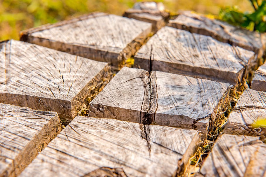 background, brown, district, section, detail, timber, nature, HD wallpaper